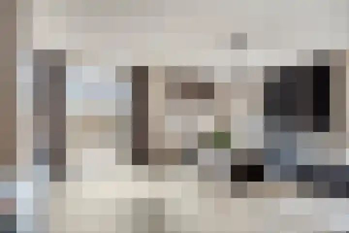 Havenkant 6 Heerjansdam thumbnail 14