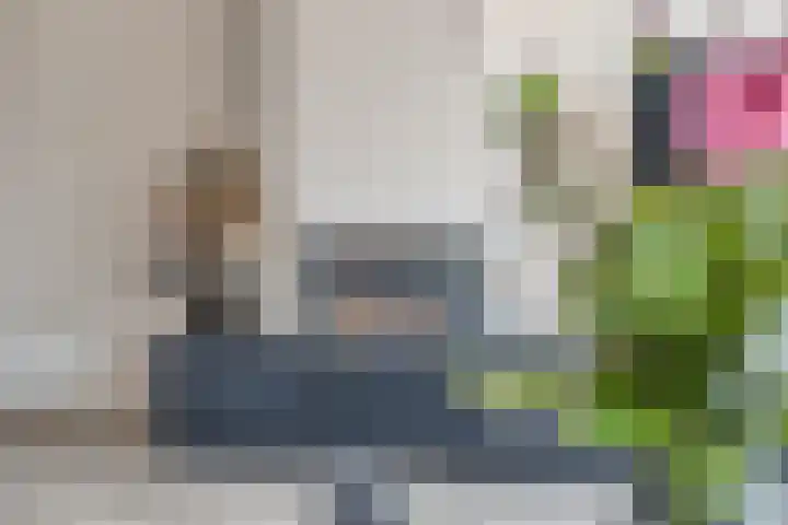 Havenkant 6 Heerjansdam thumbnail 15