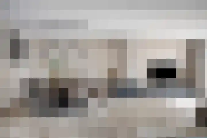 Havenkant 6 Heerjansdam thumbnail 16