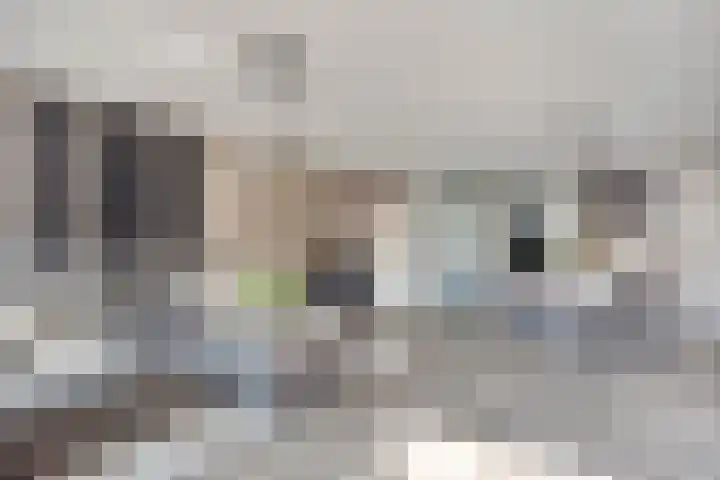 Havenkant 6 Heerjansdam thumbnail 17