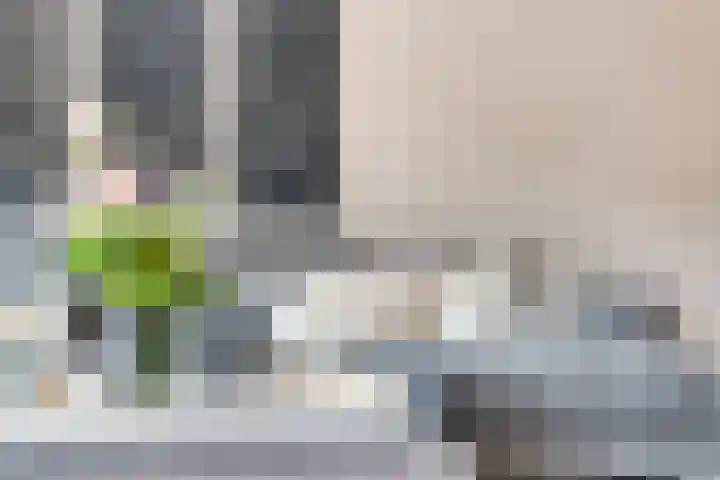Havenkant 6 Heerjansdam thumbnail 19