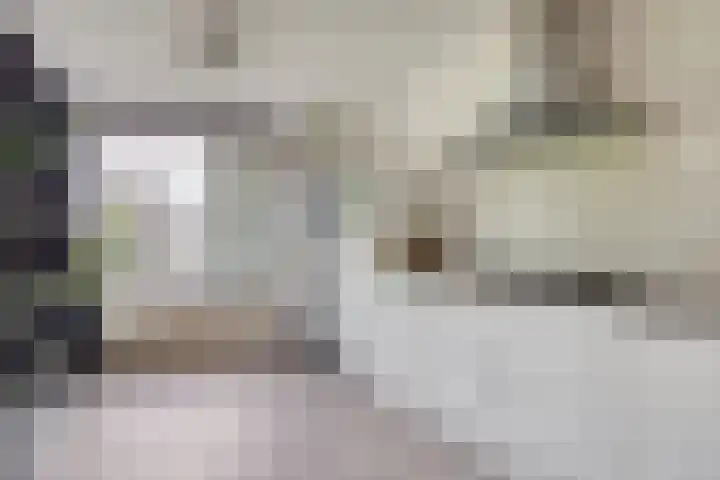 Havenkant 6 Heerjansdam thumbnail 20