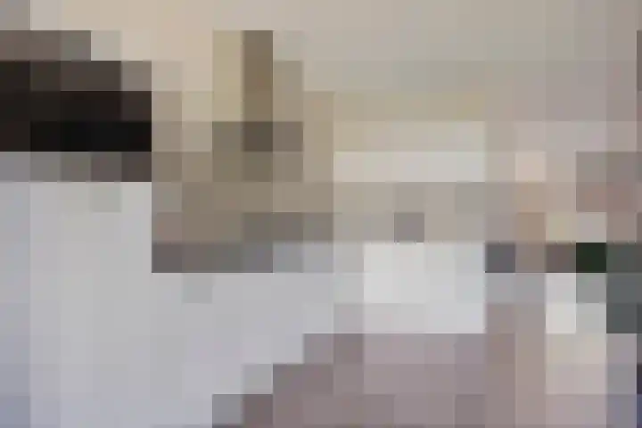 Havenkant 6 Heerjansdam thumbnail 21
