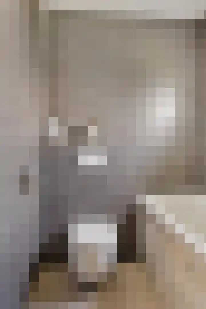 Havenkant 6 Heerjansdam thumbnail 27
