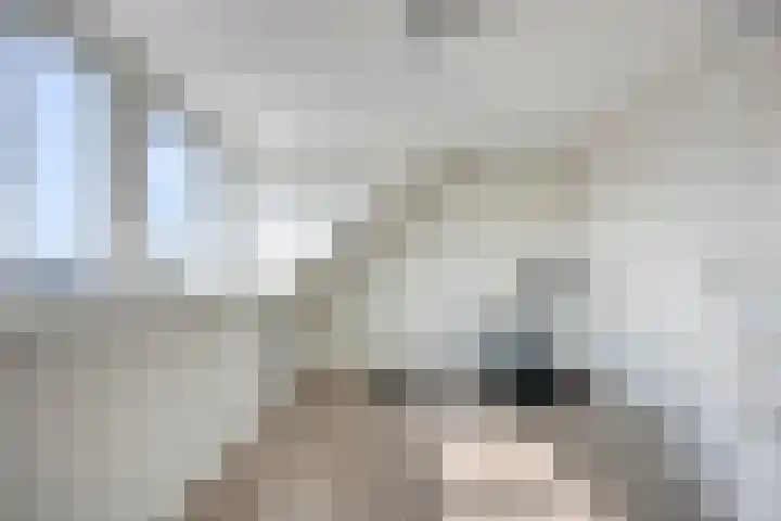 Havenkant 6 Heerjansdam thumbnail 35