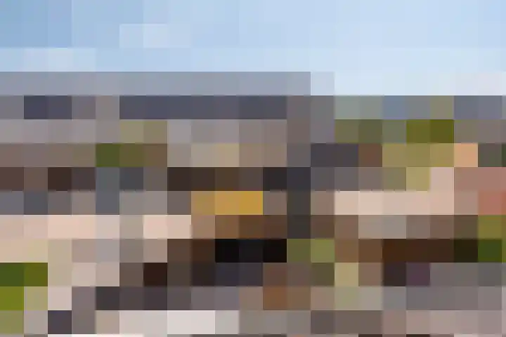 Havenkant 6 Heerjansdam thumbnail 37