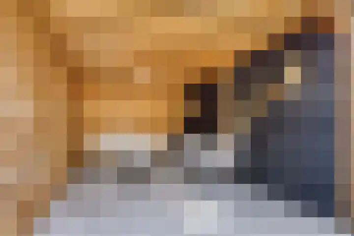 Havenkant 6 Heerjansdam thumbnail 40