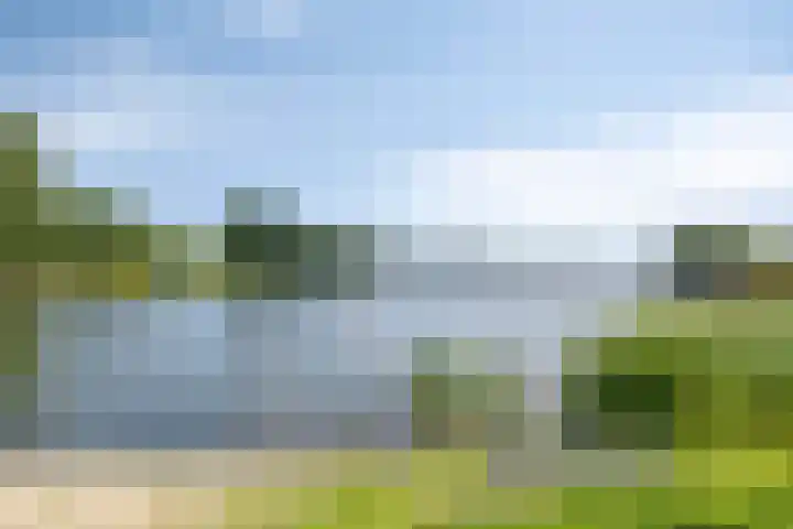 Havenkant 6 Heerjansdam thumbnail 50