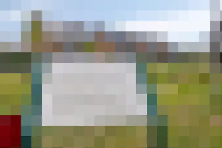 Havenkant 6 Heerjansdam thumbnail 51