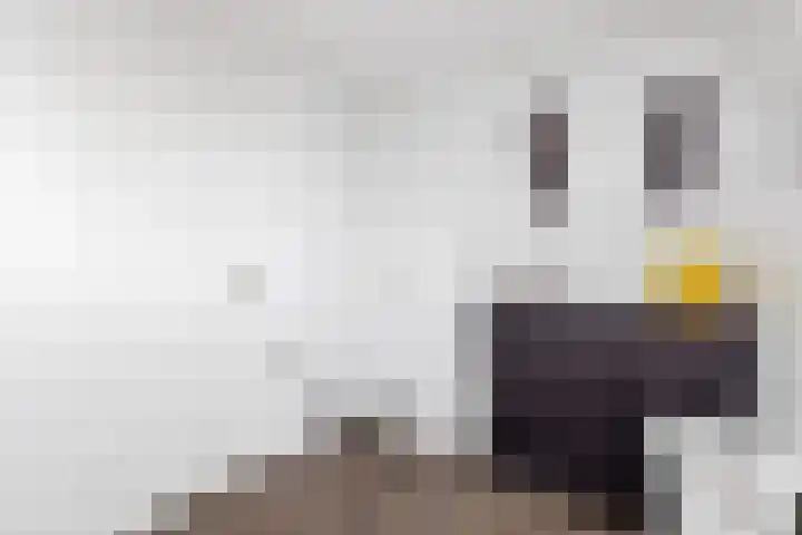 Havenkant 86 Biddinghuizen thumbnail 31