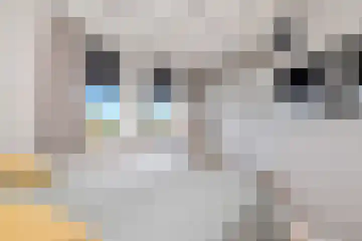 Havenkant 86 Biddinghuizen thumbnail 37