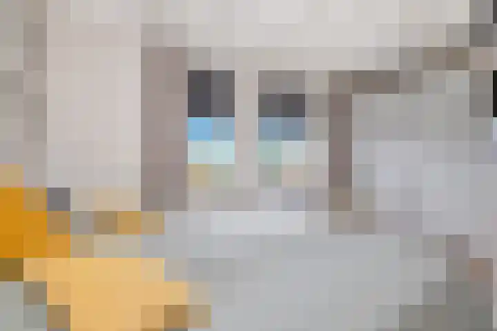 Havenkant 86 Biddinghuizen thumbnail 38