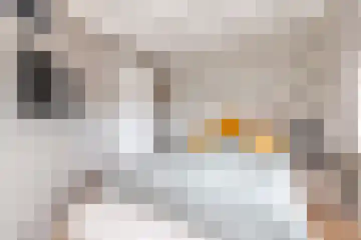 Havenkant 86 Biddinghuizen thumbnail 40