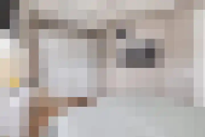 Havenkant 86 Biddinghuizen thumbnail 42