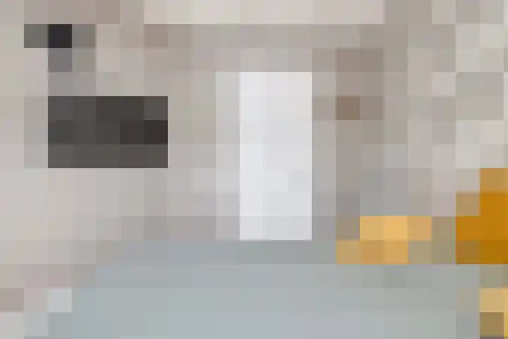 Havenkant 86 Biddinghuizen thumbnail 43