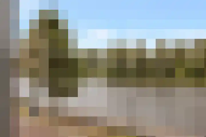 Havenkant 86 Biddinghuizen thumbnail 44