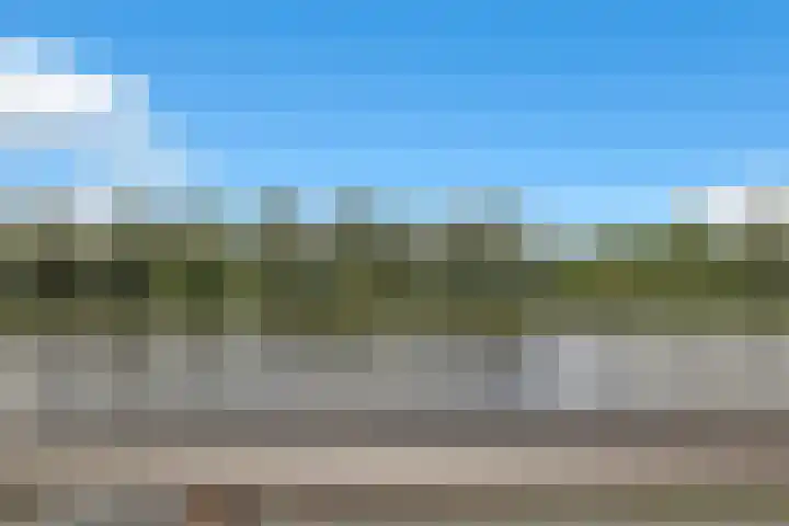 Havenkant 86 Biddinghuizen thumbnail 45