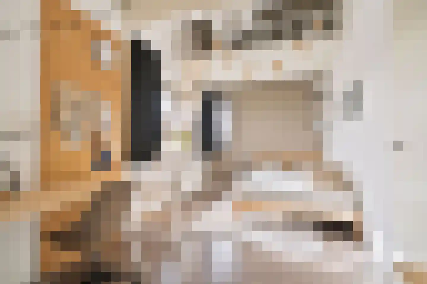 Havenkant 92 Biddinghuizen thumbnail 39