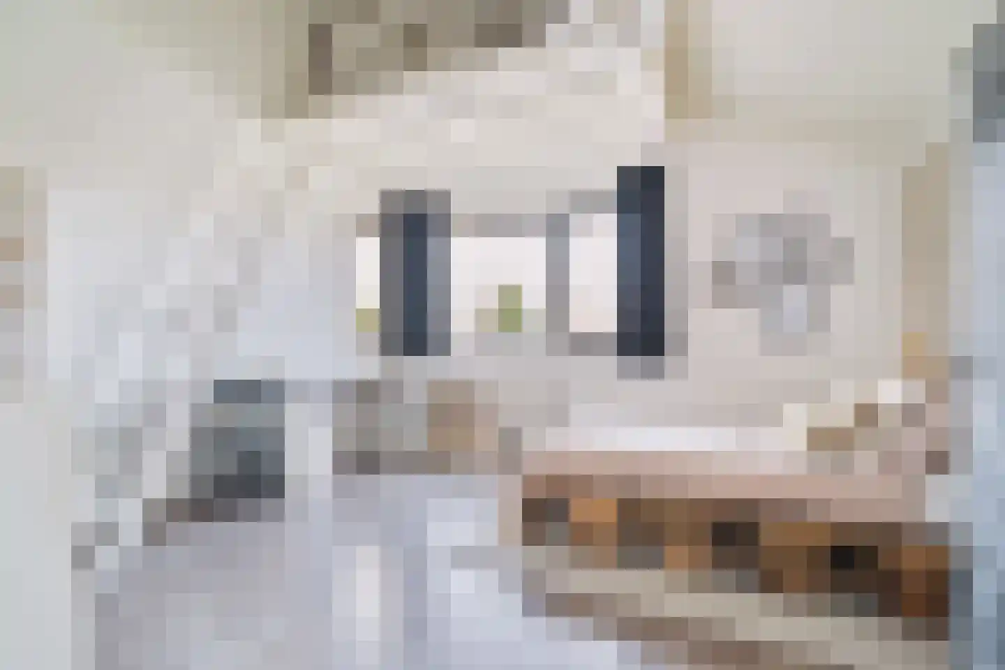 Havenkant 92 Biddinghuizen thumbnail 41