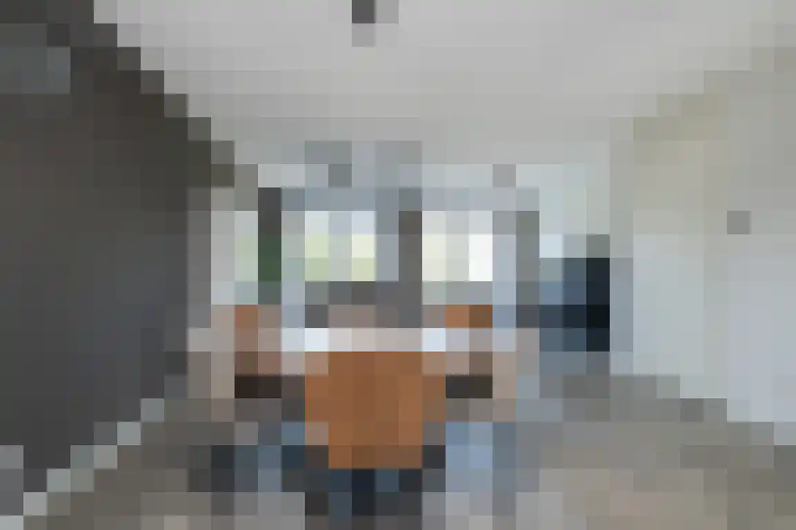 Havenkom 10 Sommelsdijk thumbnail 16