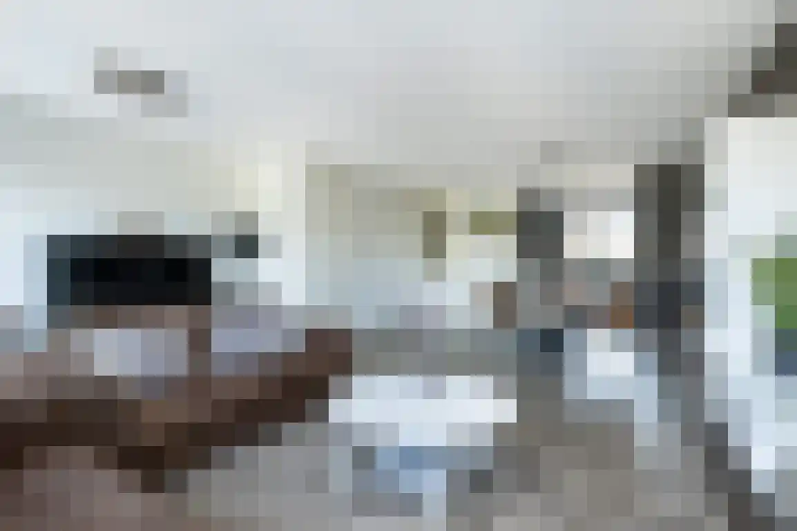 Havenkom 10 Sommelsdijk thumbnail 19