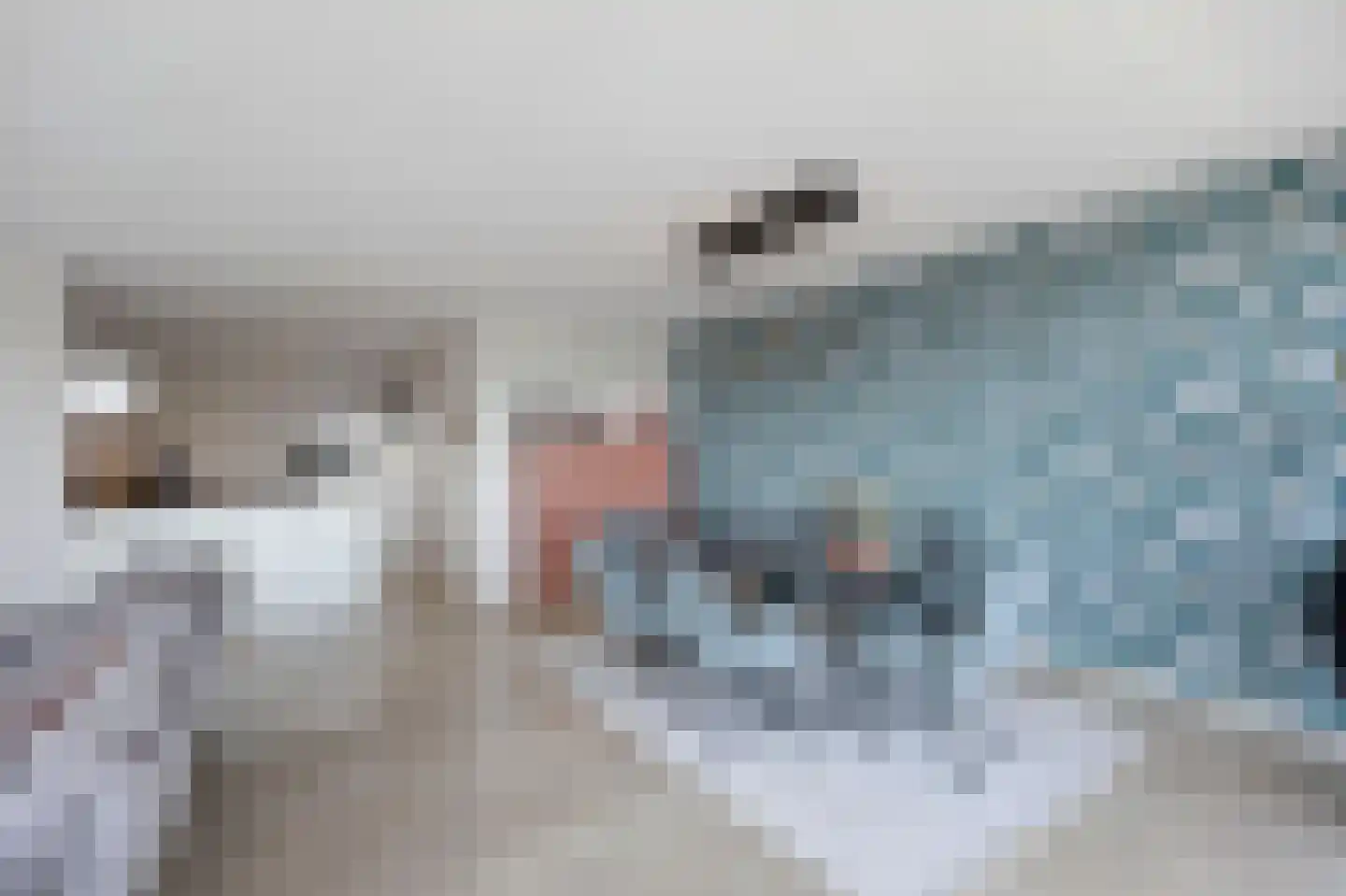Havenkwartier 101 Herten thumbnail 11