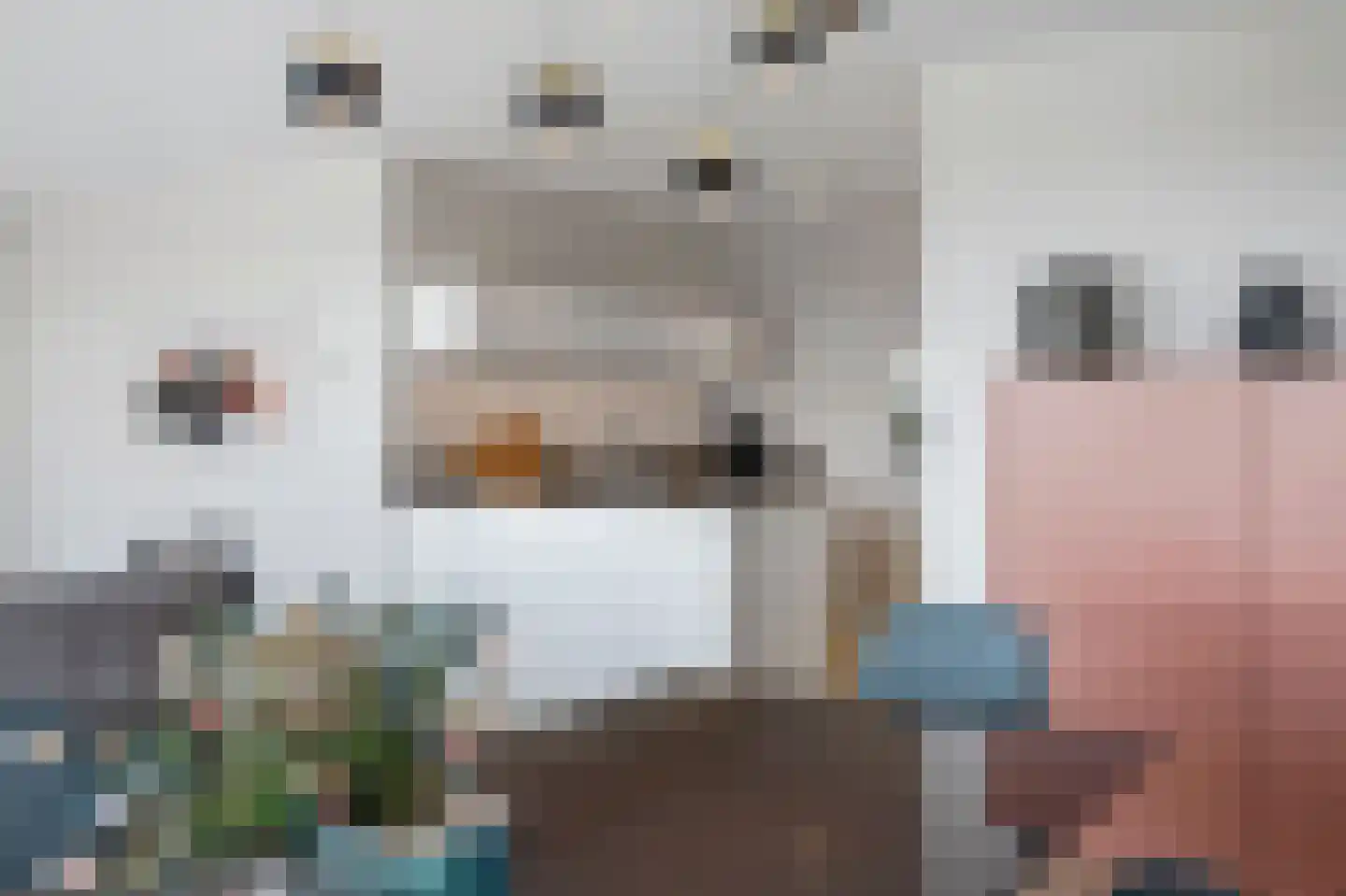 Havenkwartier 101 Herten thumbnail 17