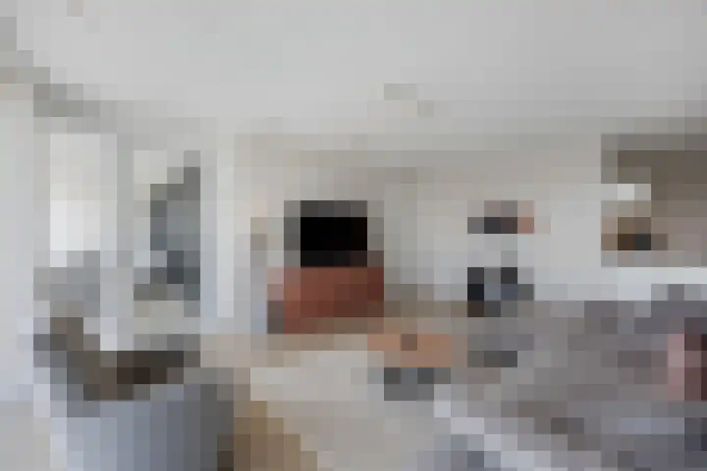 Havenkwartier 101 Herten thumbnail 8