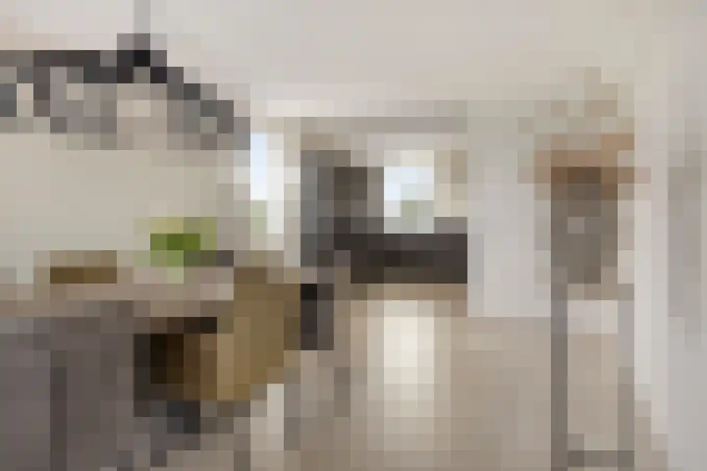 Havenkwartier 103 Herten thumbnail 12