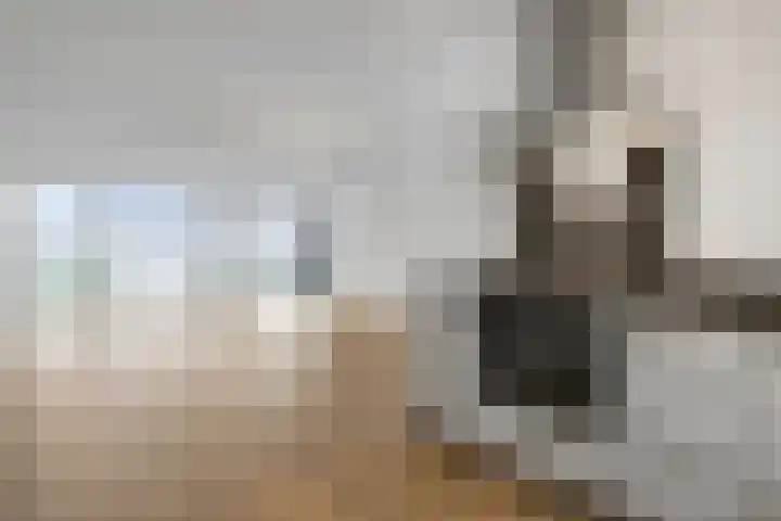Havenkwartier 29 Herten thumbnail 8