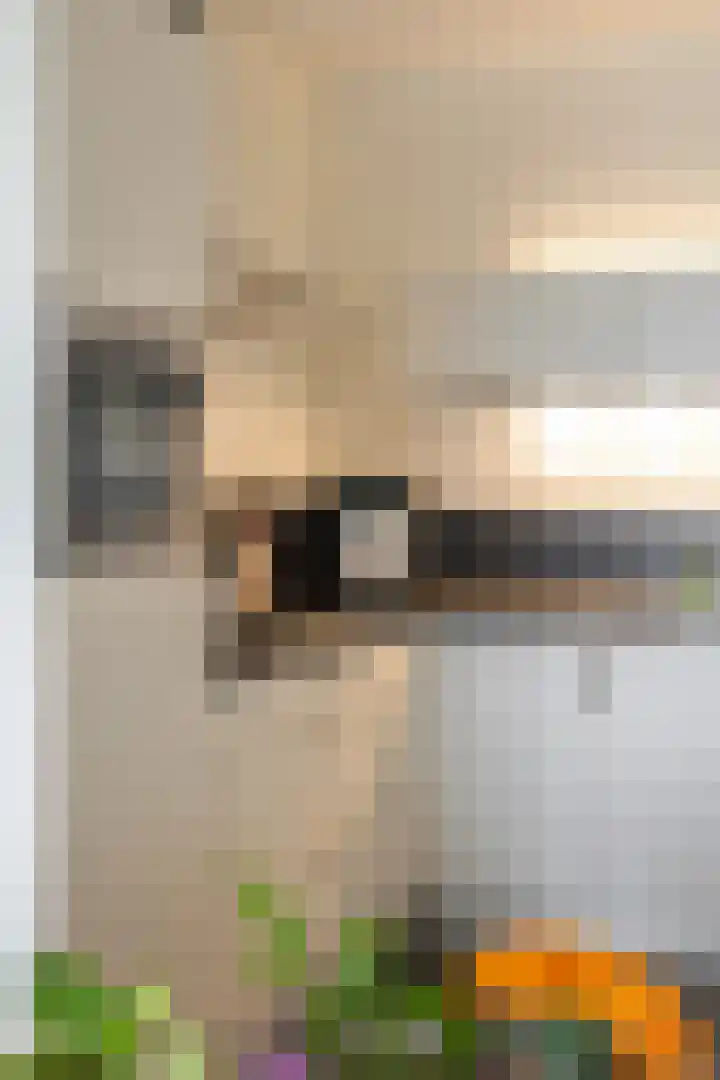 Havenkwartier 35 Herten thumbnail 16
