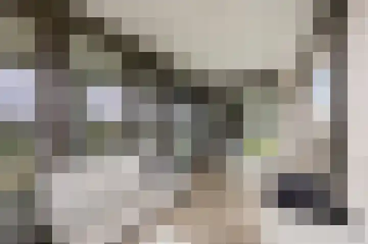 Havenkwartier 35 Herten thumbnail 18