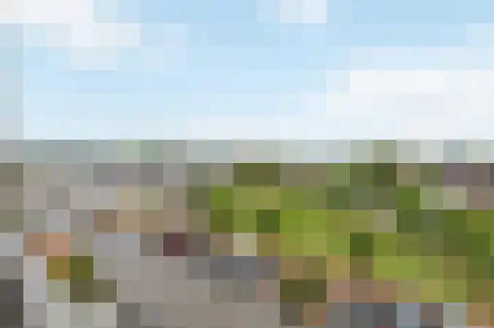 Havenkwartier 35 Herten thumbnail 22