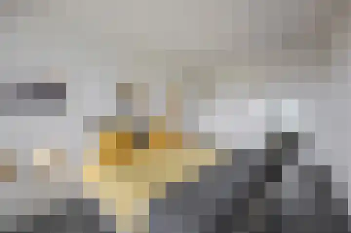 Havenkwartier 35 Herten thumbnail 25