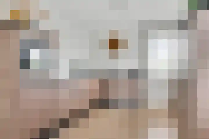 Havenkwartier 53 Herten thumbnail 18