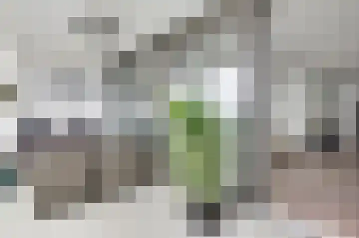 Havenkwartier 53 Herten thumbnail 26