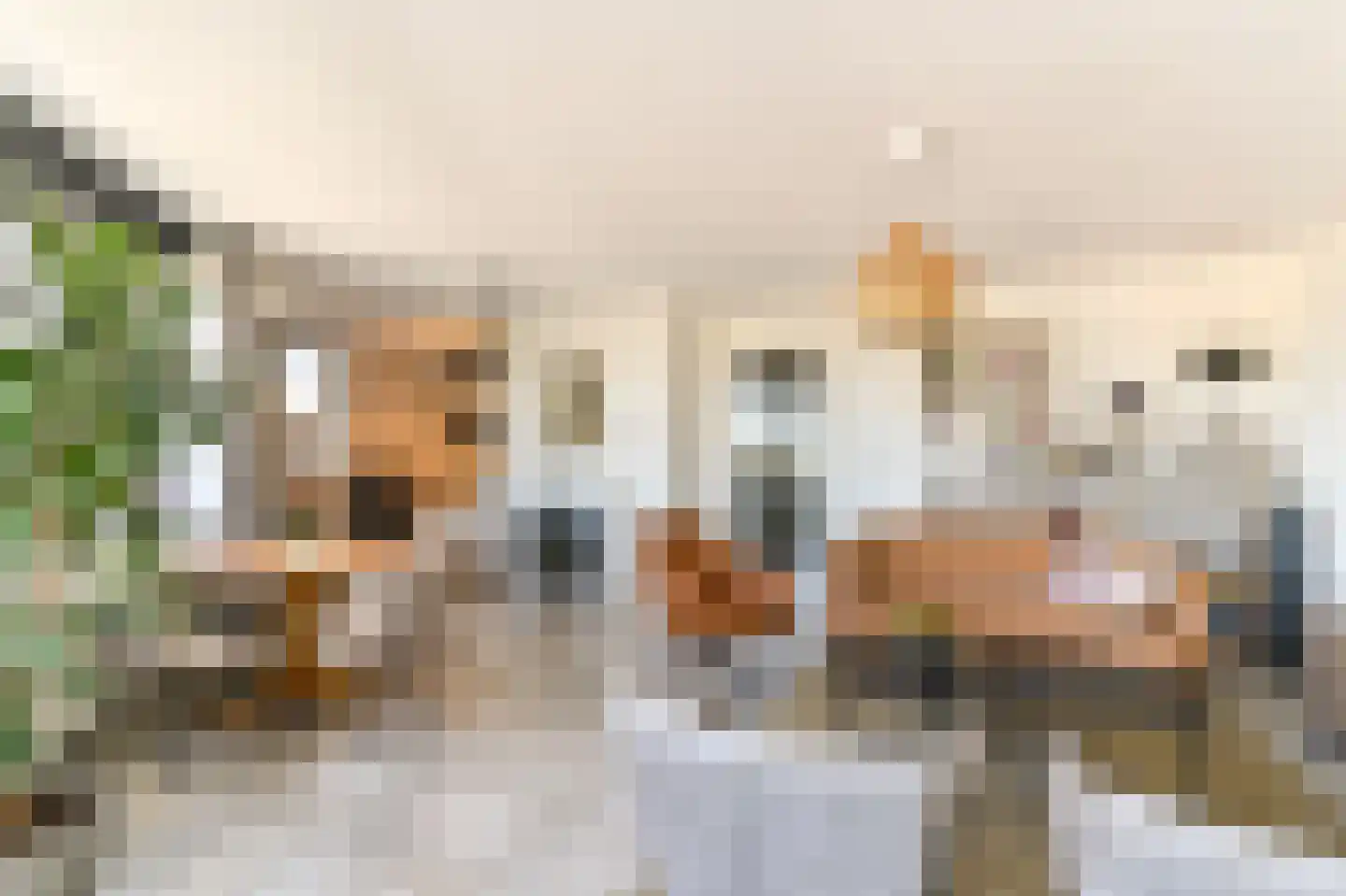 Havenkwartier 7 Herten thumbnail 7