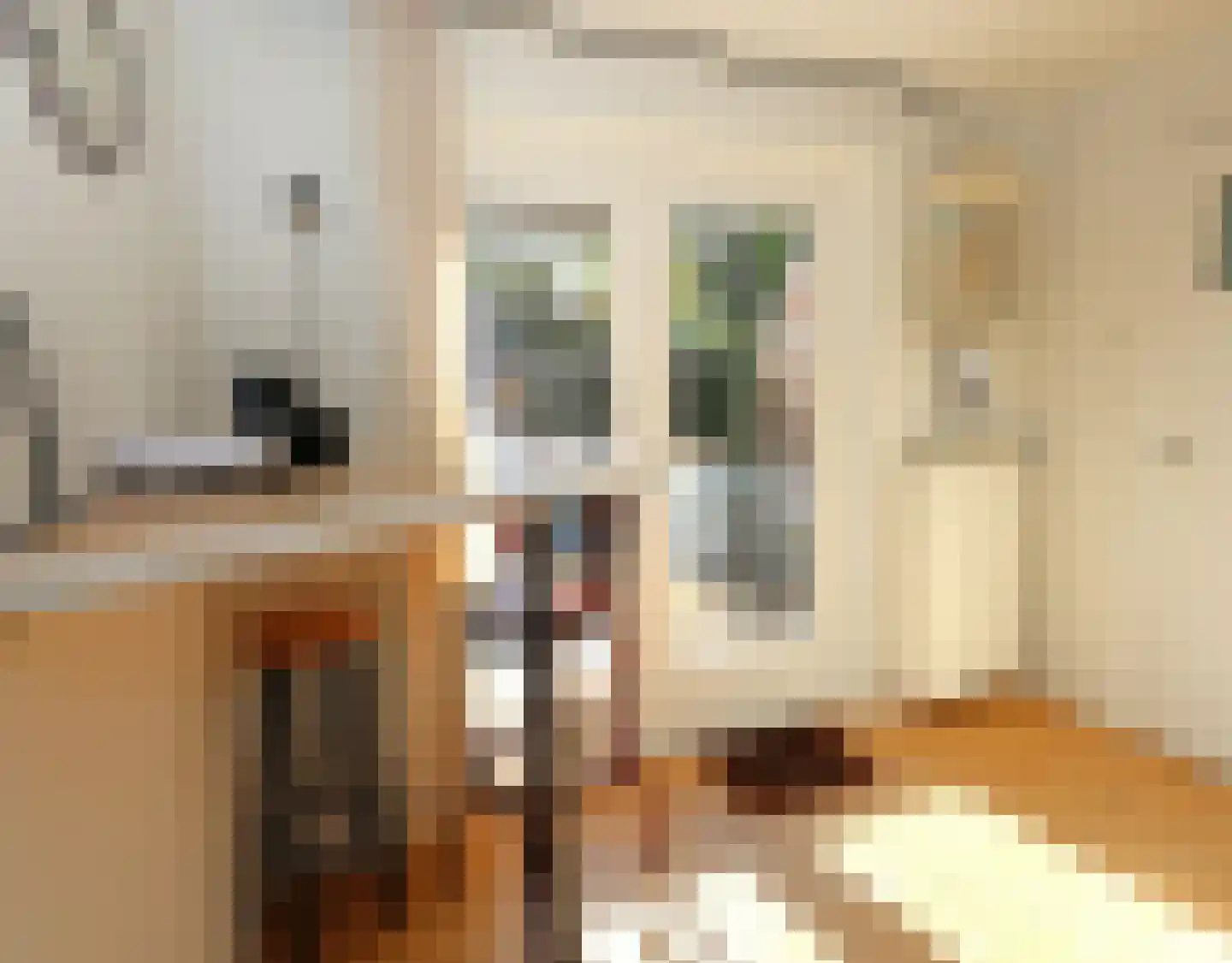 Havenpaed 9 Sibrandabuorren thumbnail 13