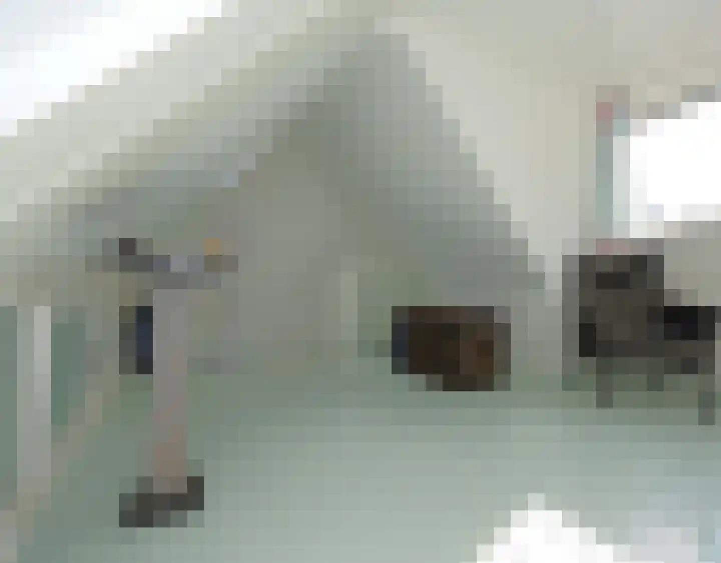 Havenpaed 9 Sibrandabuorren thumbnail 18
