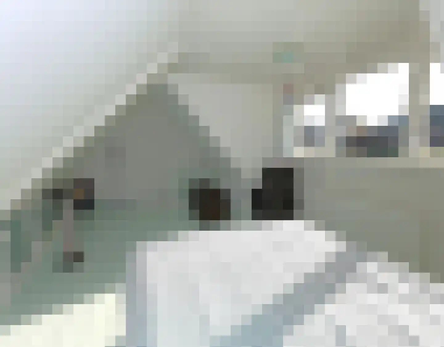 Havenpaed 9 Sibrandabuorren thumbnail 19