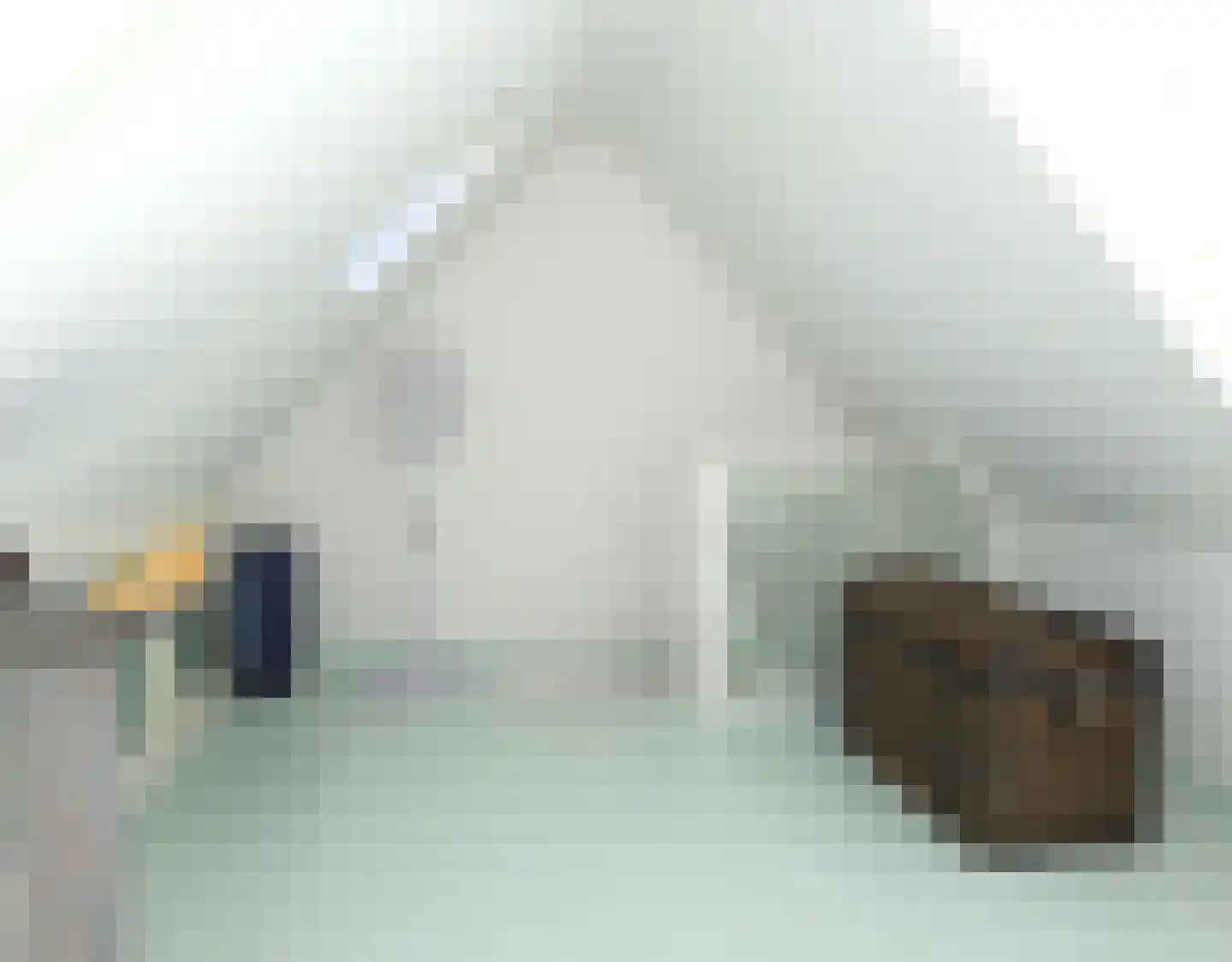Havenpaed 9 Sibrandabuorren thumbnail 20