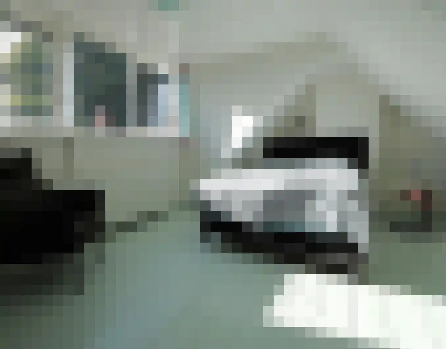 Havenpaed 9 Sibrandabuorren thumbnail 21