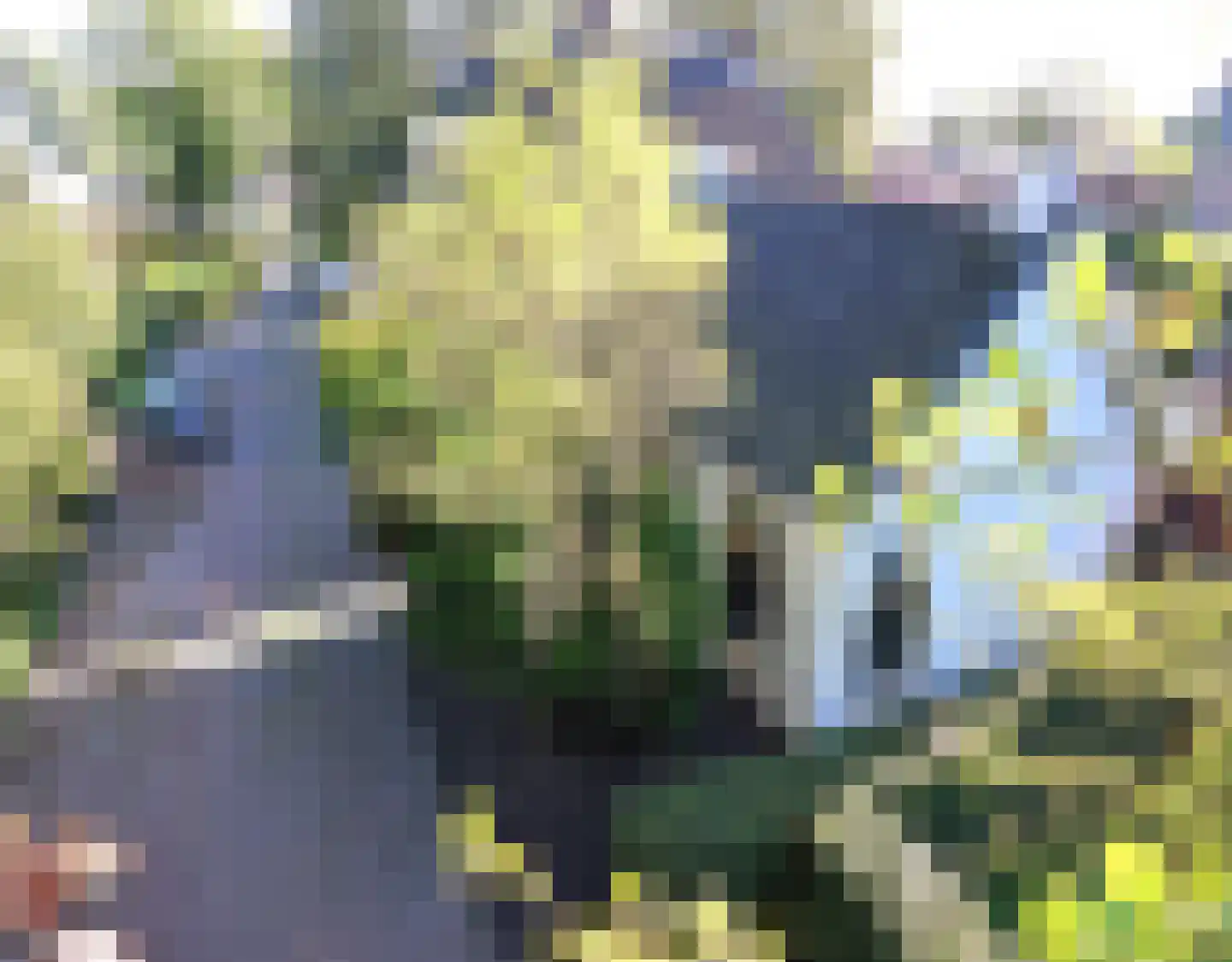 Havenpaed 9 Sibrandabuorren thumbnail 23