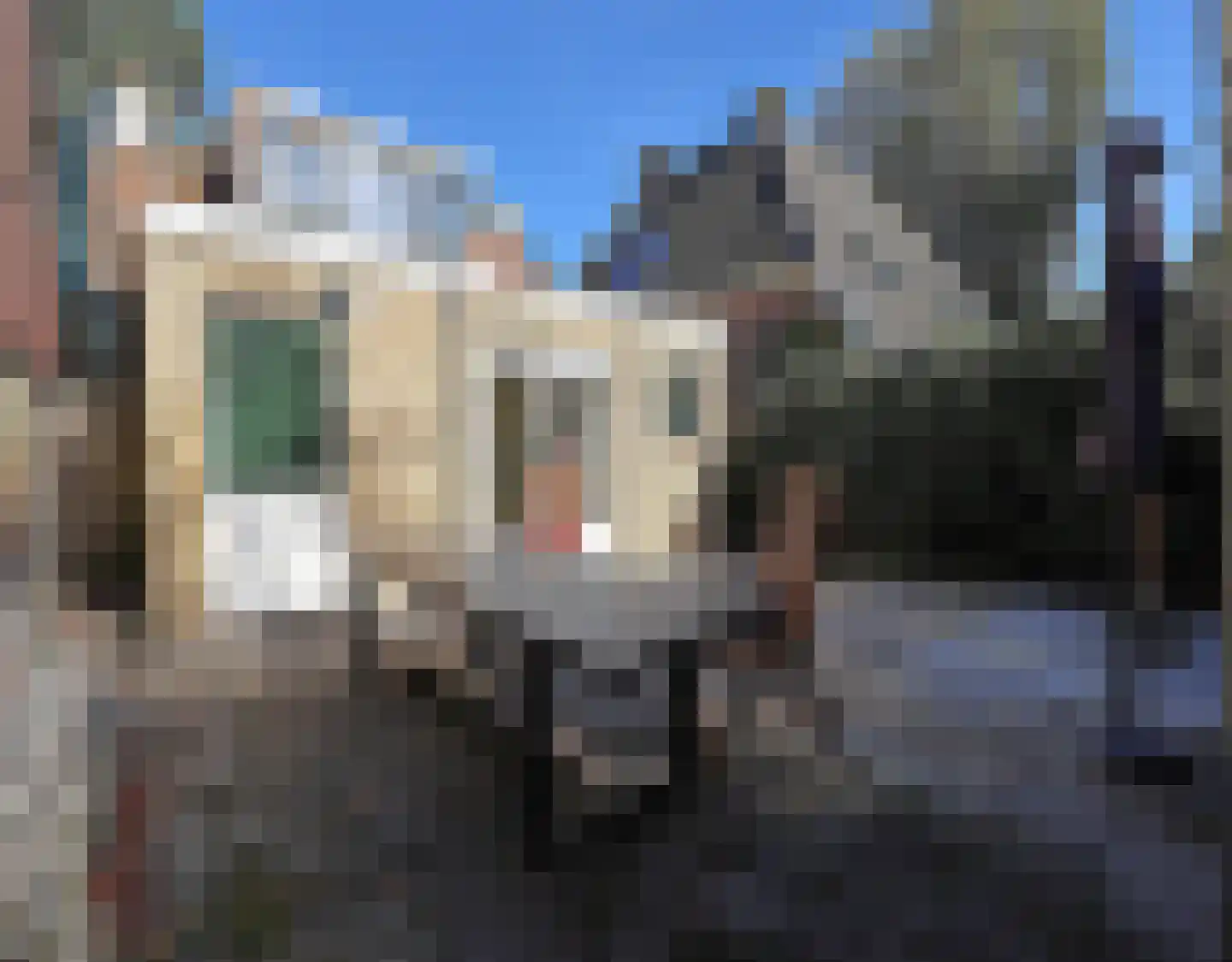 Havenpaed 9 Sibrandabuorren thumbnail 4