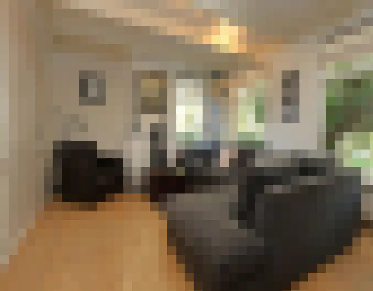 Havenpaed 9 Sibrandabuorren thumbnail 7