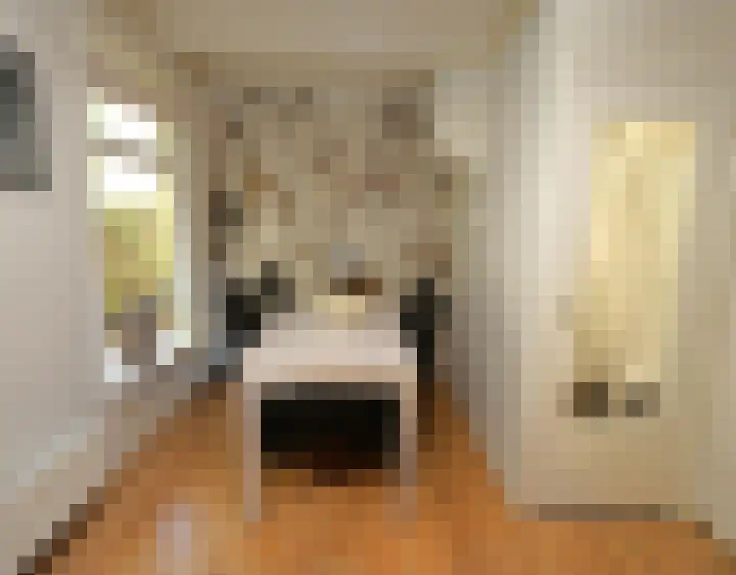Havenpaed 9 Sibrandabuorren thumbnail 8