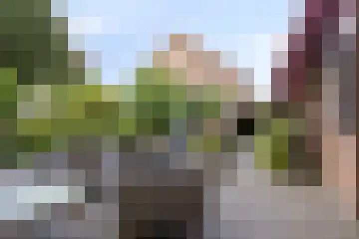 Havenpark 6 a Zierikzee thumbnail 33