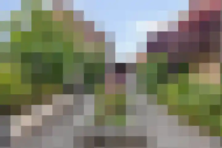 Havenpark 6 a Zierikzee thumbnail 34