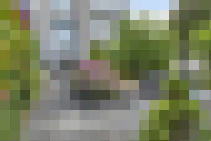 Havenpark 6 a Zierikzee thumbnail 35