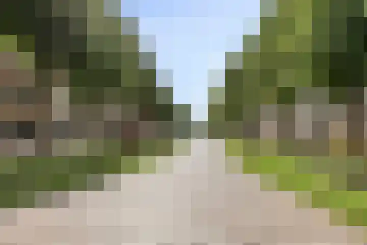 Havenpark 6 a Zierikzee thumbnail 39